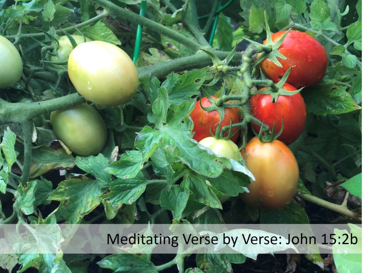 Meditating Verse by Verse: John&nbsp;15:2b