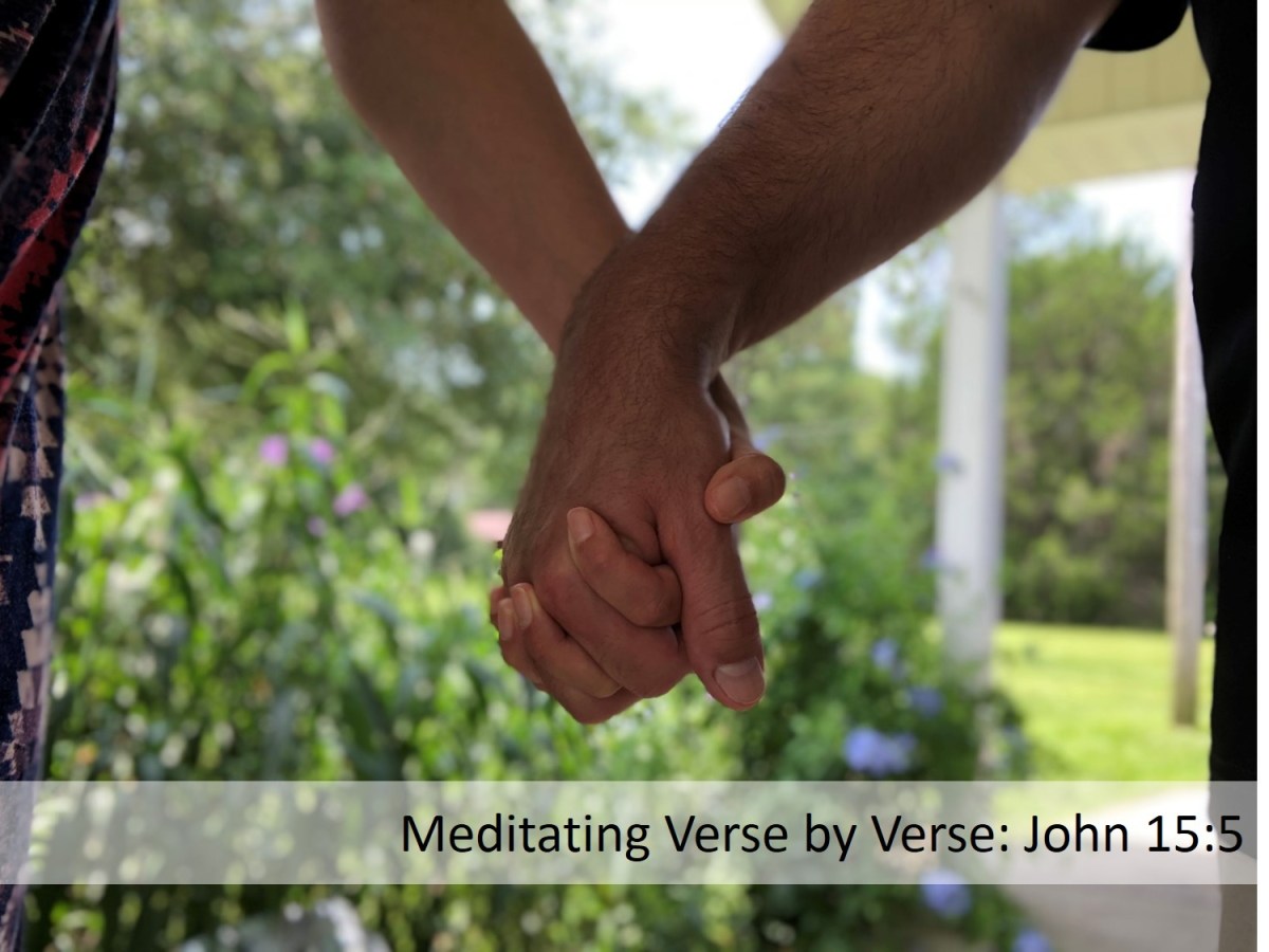 Meditating Verse by Verse: John&nbsp;15:5
