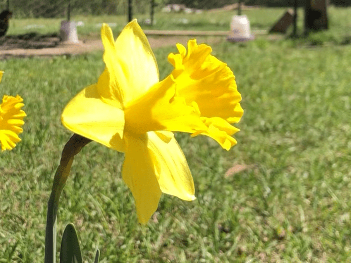 When the Weariness Sinks&nbsp;In